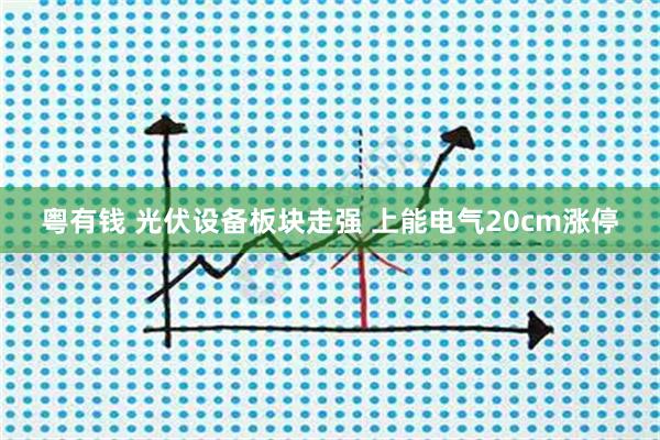 粤有钱 光伏设备板块走强 上能电气20cm涨停