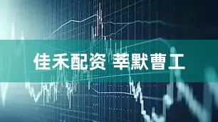 佳禾配资 莘默曹工