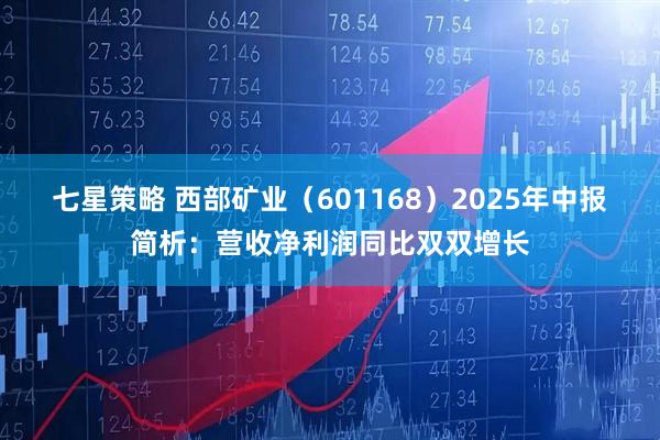 七星策略 西部矿业（601168）2025年中报简析：营收净利润同比双双增长